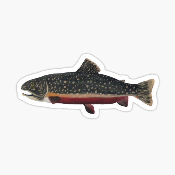 NC Trout Sticker