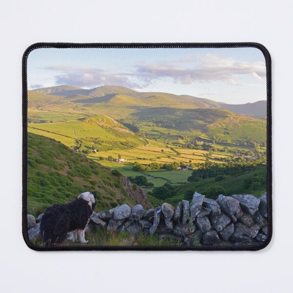 Item preview, Laddie Come Home. designed and sold by Michael Haslam.