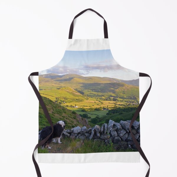 Item preview, Laddie Come Home. designed and sold by Michael Haslam.