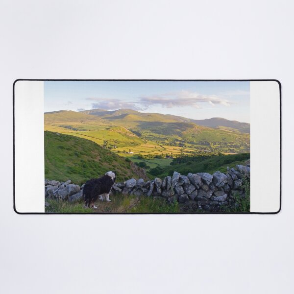 Item preview, Laddie Come Home. designed and sold by Michael Haslam.