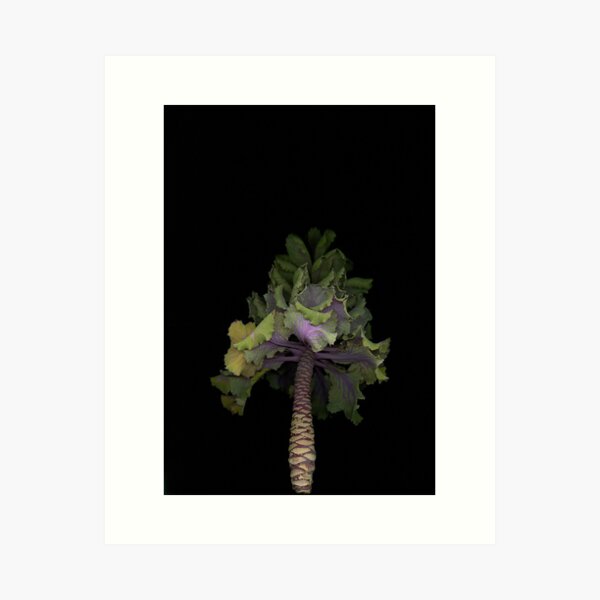 Winter Garden 1 Dark Botanical Art Print