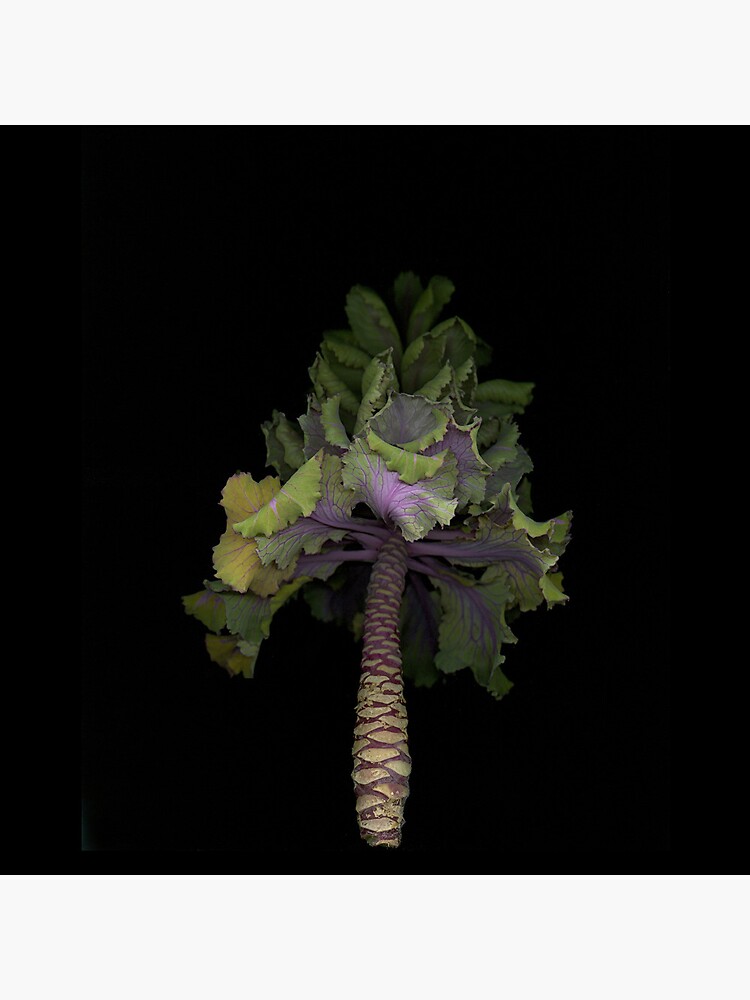 Thumbnail 4 of 4, Pillow, Winter Garden 1 Dark Botanical designed and sold by LindasPhotoArt.