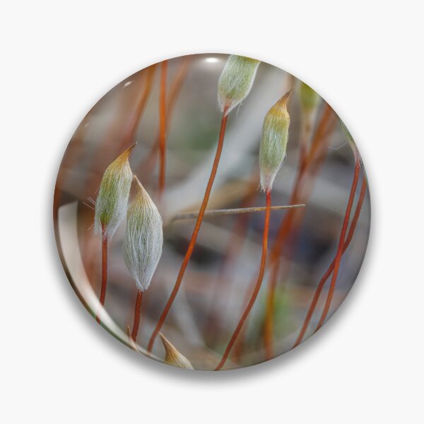 Item preview, Spring in the moss 3 designed and sold by Veikko  Suikkanen.