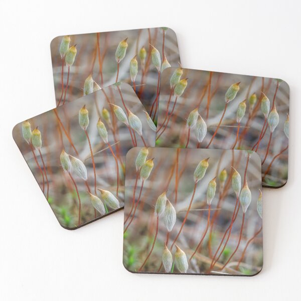 Item preview, Spring in the moss 3 designed and sold by Veikko  Suikkanen.