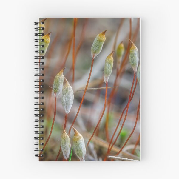 Item preview, Spring in the moss 3 designed and sold by Veikko  Suikkanen.