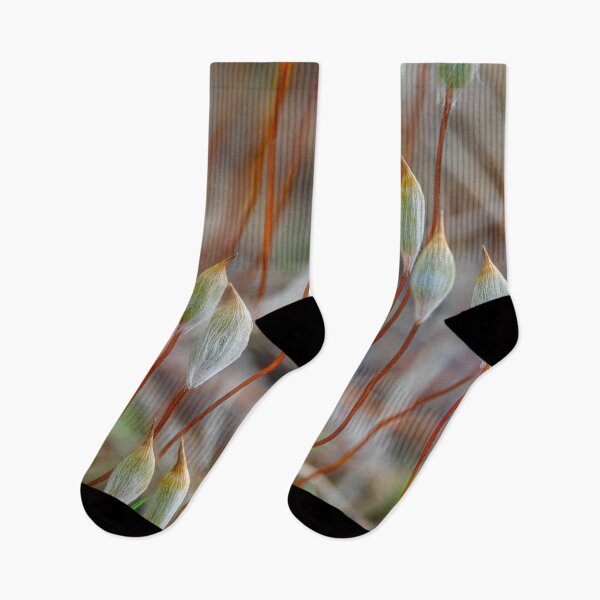 Item preview, Spring in the moss 3 designed and sold by Veikko  Suikkanen.