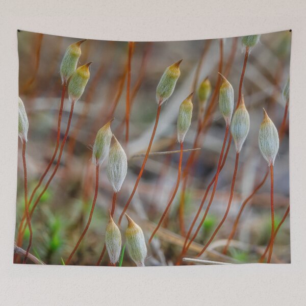Item preview, Spring in the moss 3 designed and sold by Veikko  Suikkanen.