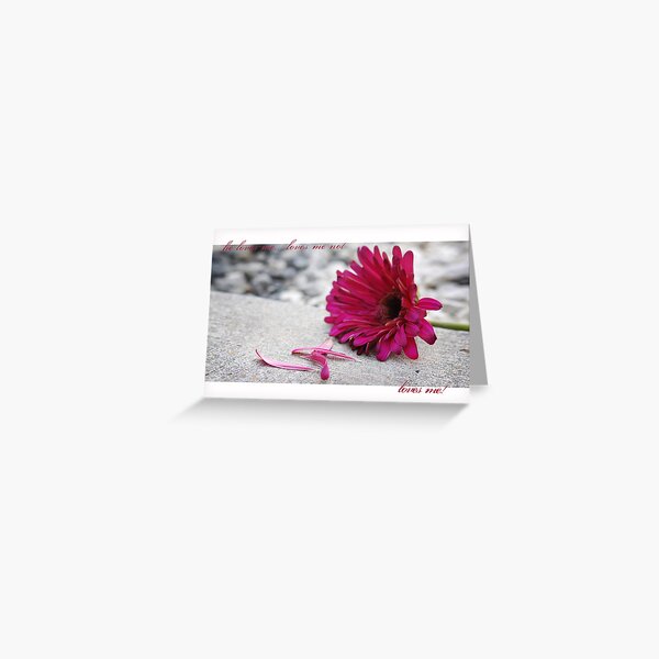 He loves me...loves me not... Greeting Card