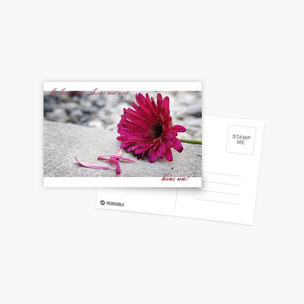 He loves me...loves me not... Postcard