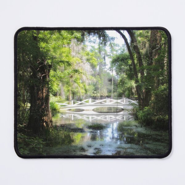 Item preview, Magnolia Magic designed and sold by Autumn Seas Photography.