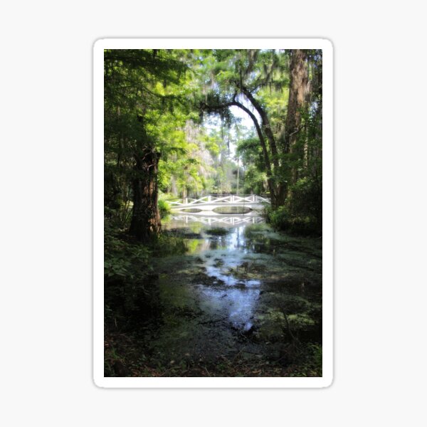 Item preview, Magnolia Magic designed and sold by Autumn Seas Photography.