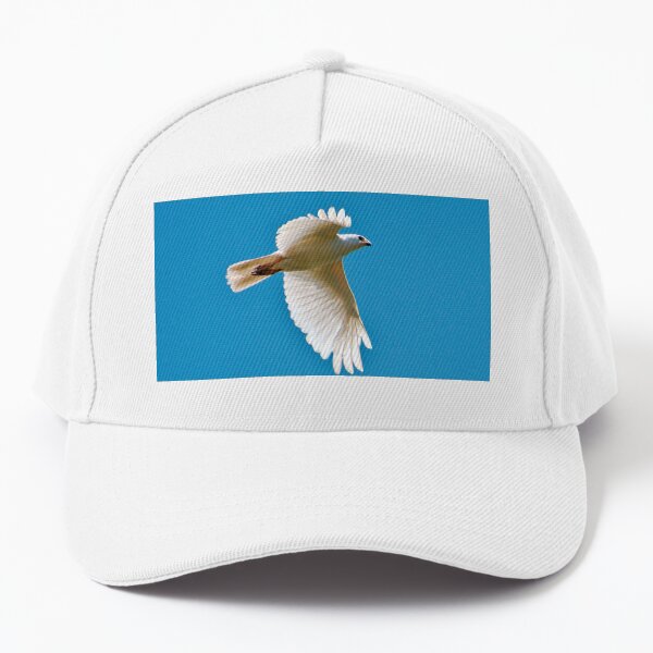 RAPTOR ~ White Goshawk by David irwin DJIJ8ZZM56W Baseball Cap
