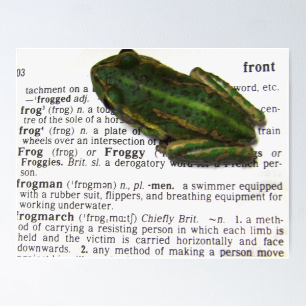 Artikel-Vorschau von Idiot's Dictionary-Frog, designt und verkauft von Gozza.