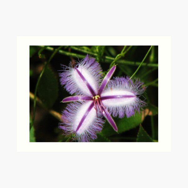 Magic Silver White Art Print