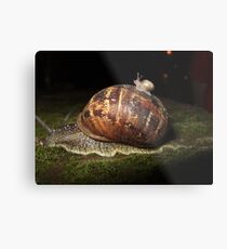 Hitchhiker Metal Print