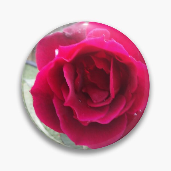 Item preview, Rose designed and sold by Bridgett Bailey.