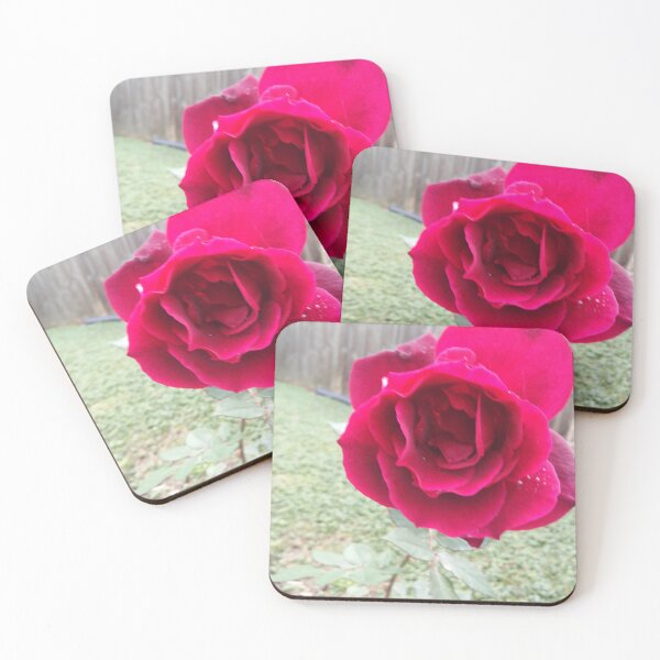 Item preview, Rose designed and sold by Bridgett Bailey.