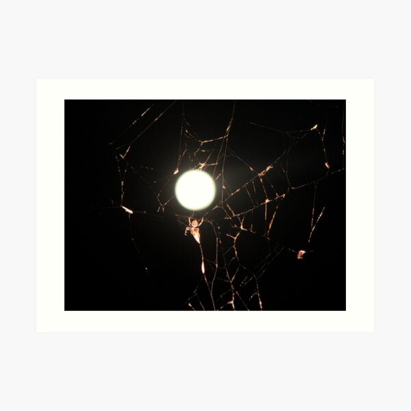Moon Light Spider Art Print