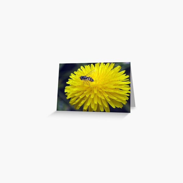 Bush Bee Blend Greeting Card