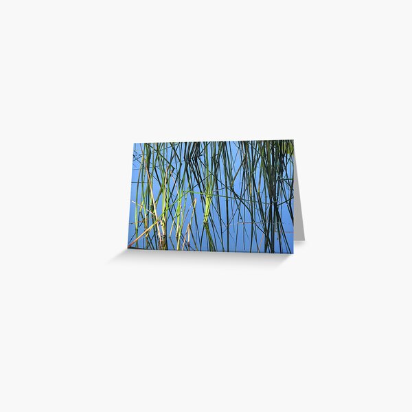 Wetland Reflection Greeting Card