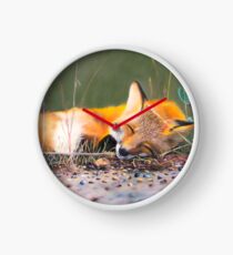 A sleeping fox Clock