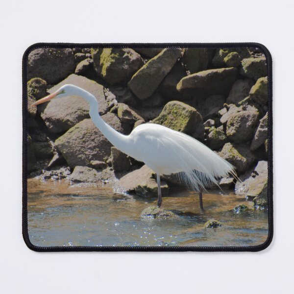 Item preview, WADER ~ Great Egret by David Irwin DJID6KFHTZK designed and sold by tasmanianartist.