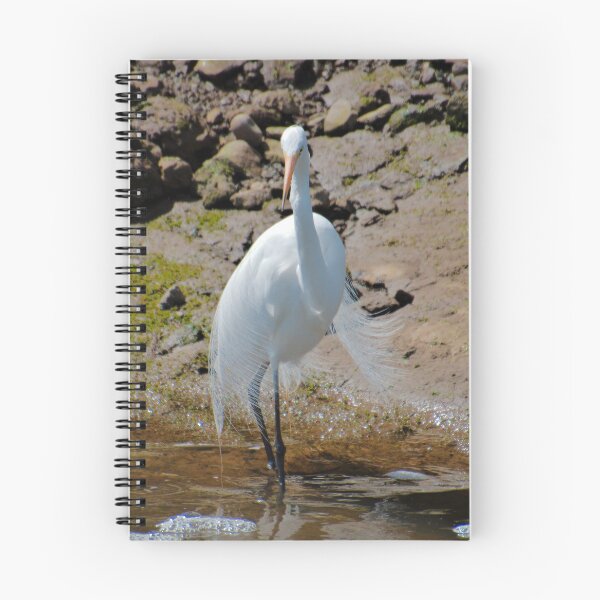 Item preview, WADER ~ Great Egret by David Irwin DJIXF2LPH4M designed and sold by tasmanianartist.