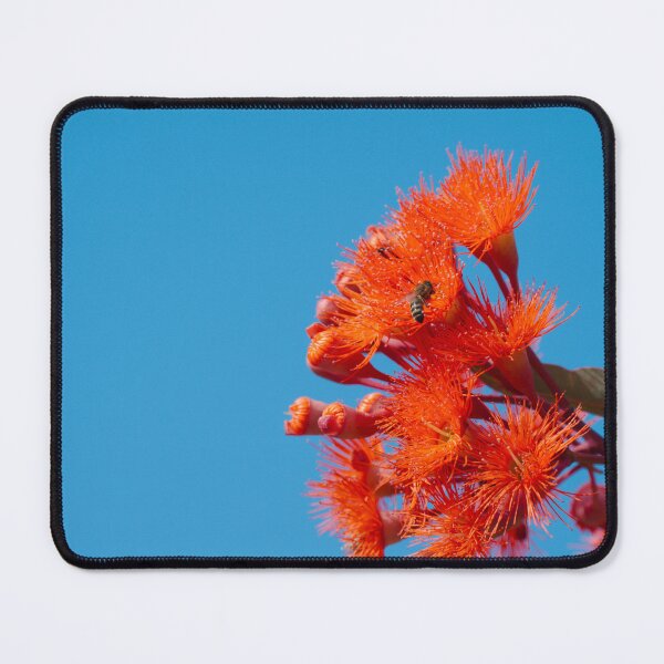 Item preview, Fiery Eucalyptus designed and sold by notjustamwac.