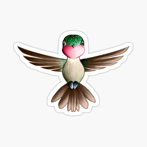 Ruby-Throated Hummingbird Version 004 Sticker