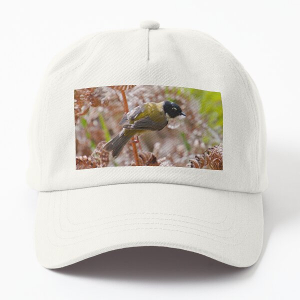 HONEYEATER ~ Black-headed Honeyeater by David Irwin DJIXHQW2SX6 Dad Hat