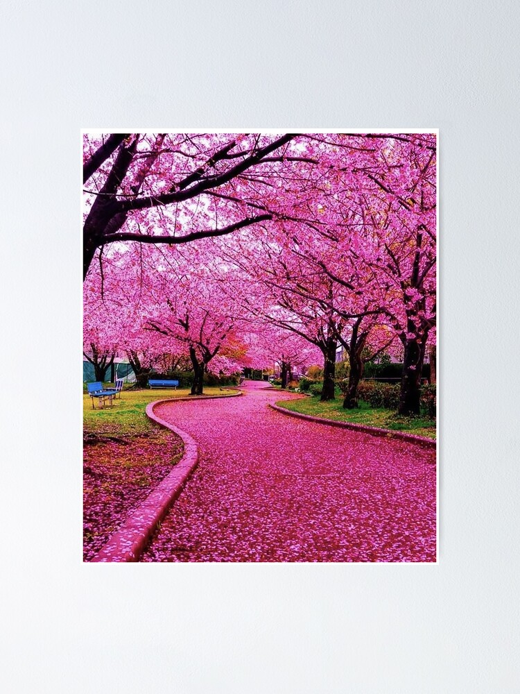 世界に50枚限定　スポンジボブポスター　JAPAN SAKURA PINK Endless Pink Poster with Serene Scene | Poster Store US