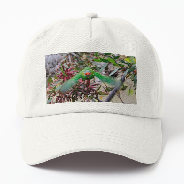 PARROT ~ Musk Lorikeet by David Irwin DJITDX8NRWQ Dad Hat