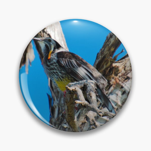 Item preview, HONEYEATER ~ Yellow Wattlebird by David Irwin DJI7FDYG9S5 designed and sold by tasmanianartist.