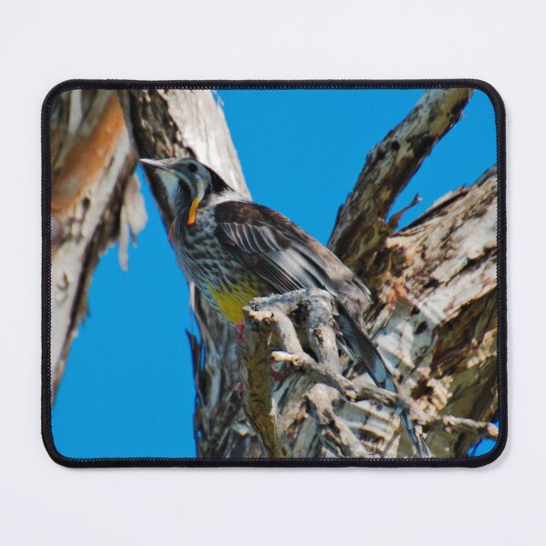 HONEYEATER ~ Yellow Wattlebird by David Irwin DJI7FDYG9S5 Mouse Pad