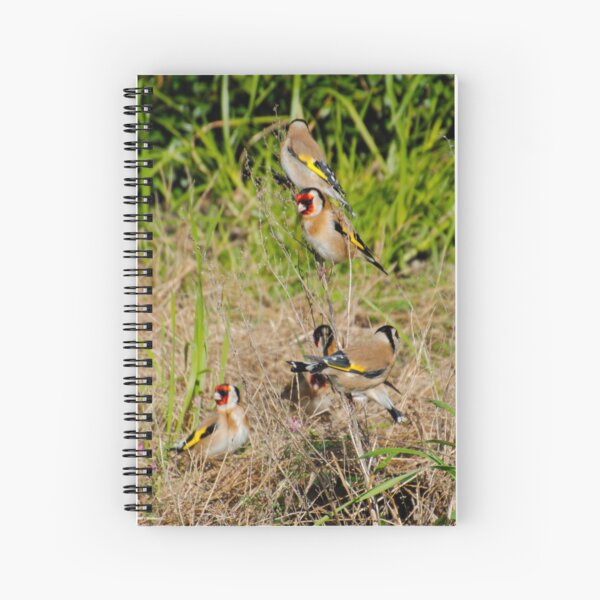 EXOTIC ~ European Goldfinch by David Irwin DJIW8U48JUV Spiral Notebook