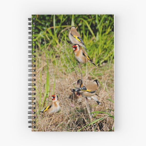 Item preview, EXOTIC ~ European Goldfinch by David Irwin DJIW8U48JUV designed and sold by tasmanianartist.