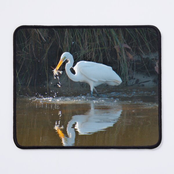 Item preview, WADER ~ Eastern Great Egret by David Irwin DJIVHEH4576 designed and sold by tasmanianartist.