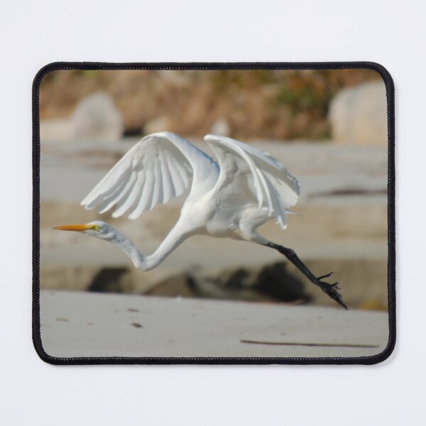 Item preview, WADER ~ Eastern Great Egret by David Irwin DJIDJKUFFQY designed and sold by tasmanianartist.