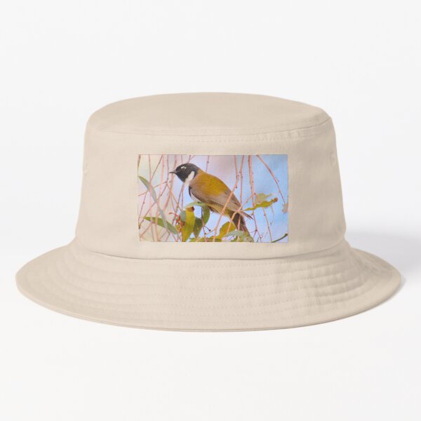 HONEYEATER ~ Black-headed Honeyeater by David Irwin DJINUMDPRC9 Bucket Hat