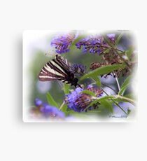 Enchanting Canvas Print