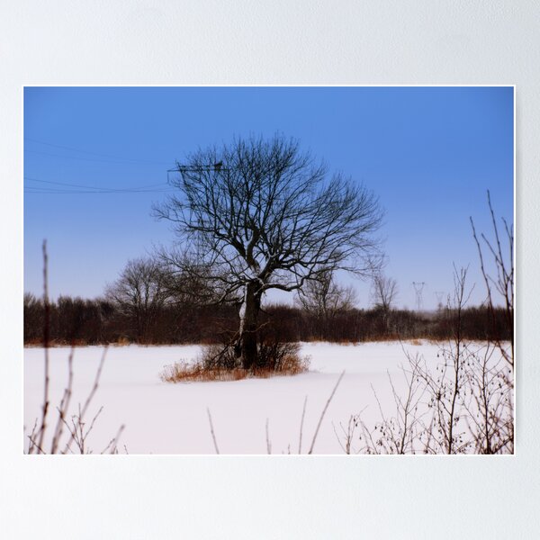 Item preview, snowscape 1 designed and sold by Jason LeRue.
