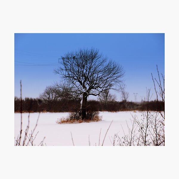 Artikelvorschau, snowscape 1 entworfen und verkauft von Jason LeRue.