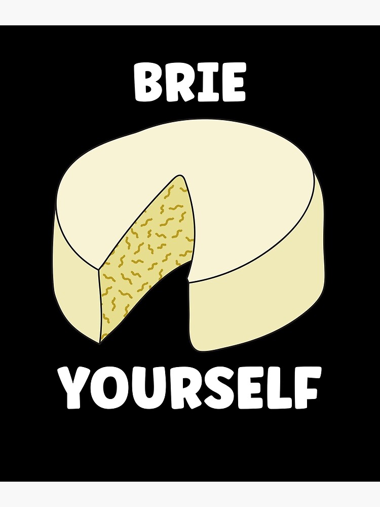 " Brie Yourself Funny Cheese Dad Jokes TShirt Cheesy Puns About Cheese
