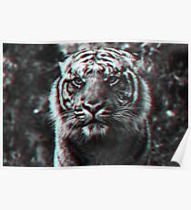 Trippy Tiger Poster