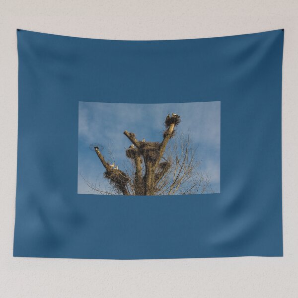 Item preview, Nesting White Storks in North East Italy designed and sold by jojobob.