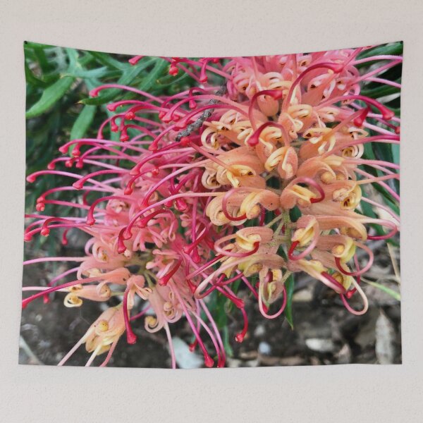 Item preview, Grevillea designed and sold by smh2.