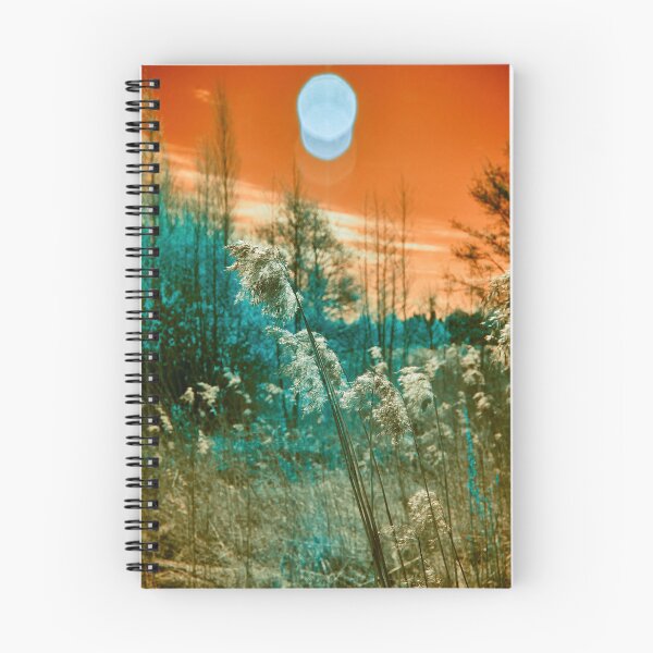 Item preview, Bad sun rising. Infrared photography designed and sold by Jouko Lehto Photography.