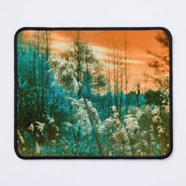 Item preview, Bad sun rising. Infrared photography designed and sold by Jouko Lehto Photography.