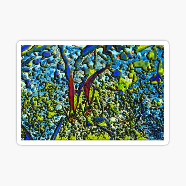 Amazon River Illustration Sticker