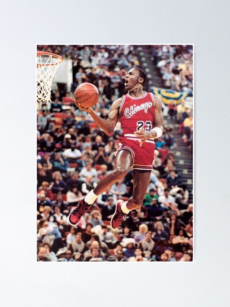 jordan dunk poster